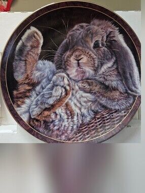 Footloose - Bunny Tales Collector Plate – Vivi Crandall – Bradford Exchange New